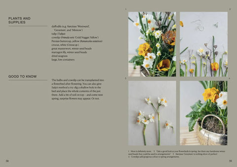 THE POTTED GARDEN