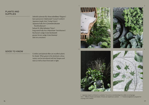 THE POTTED GARDEN