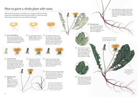 Wildflowers - The Watercolour Art Pad