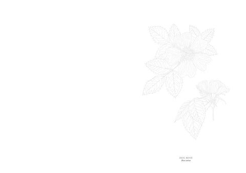 Wildflowers - The Watercolour Art Pad