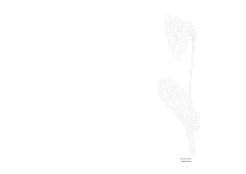 Wildflowers - The Watercolour Art Pad