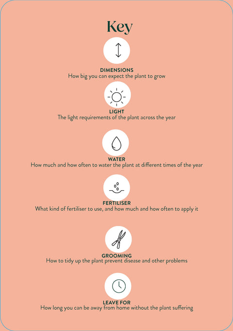 Healing plantcare