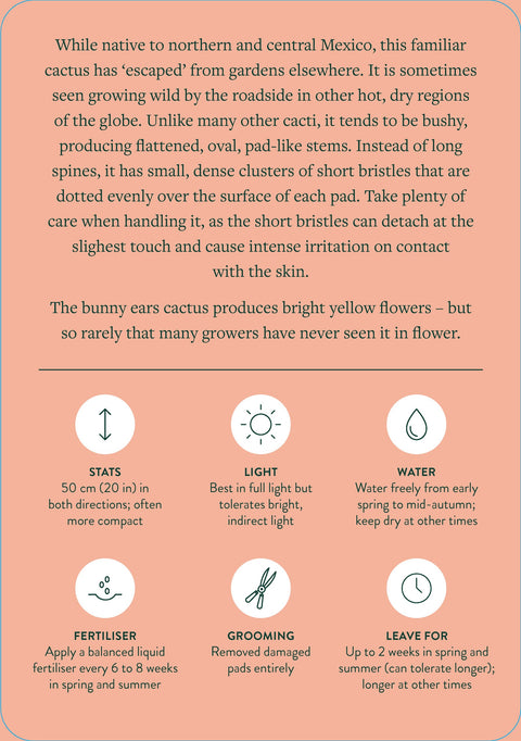 Healing plantcare