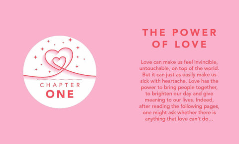 The Little Book Of Love