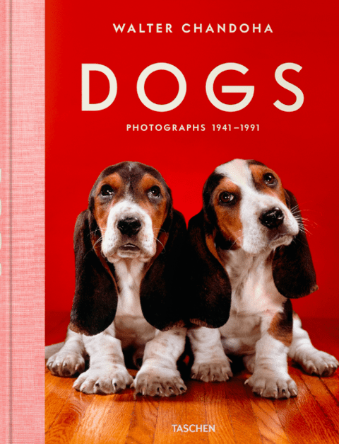 Dogs. Walter Chandoha. Photographs 1941–1991