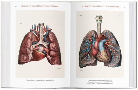 Atlas of Human Anatomi