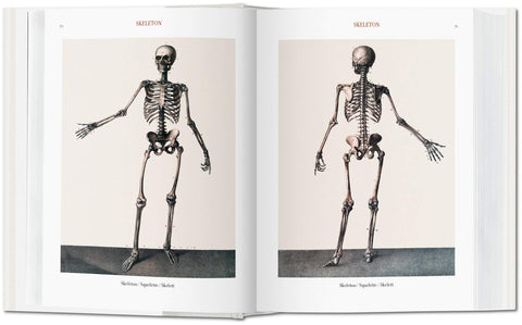 Atlas of Human Anatomi