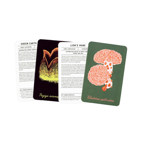The Mushroom Compendium