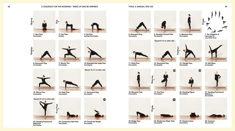 Yoga A Manual for Life