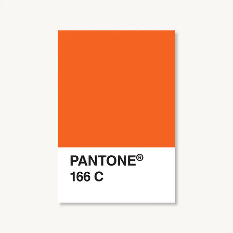 Pantone 10 stk Postcard