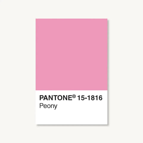 Pantone 10 stk Postcard