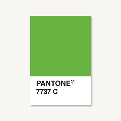 Pantone Postcard Box