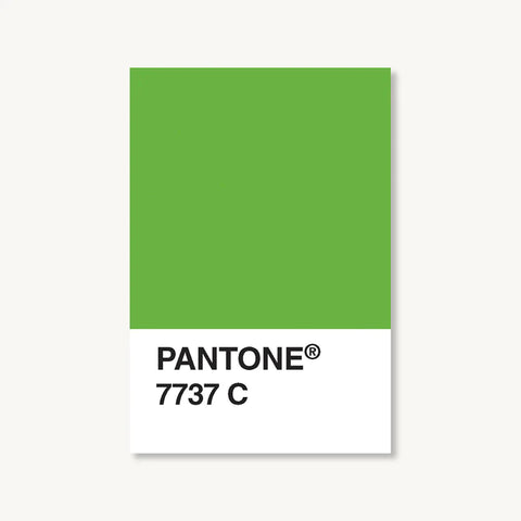 Pantone 10 stk Postcard