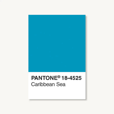 Pantone 10 stk Postcard