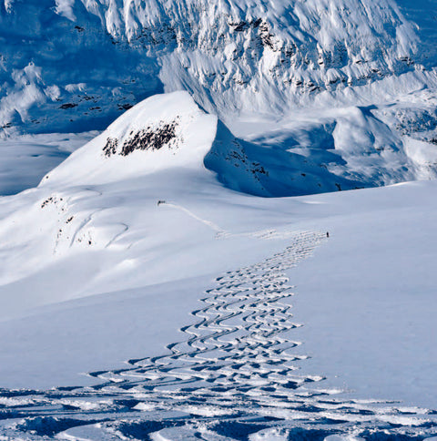 The Ultimate Ski Book