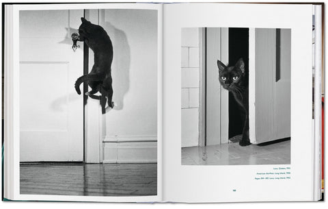 Cats. Walter Chandoha. Photographs 1942–2018
